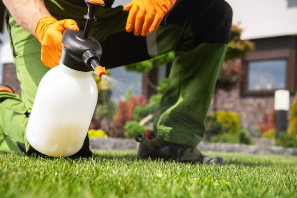 Best Commercial Pest Control Services  in Calvert City, KY