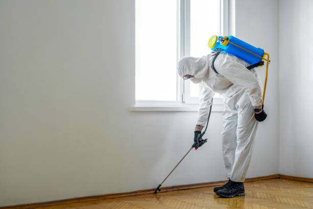 Best Flea Control Services  in Calvert City, KY