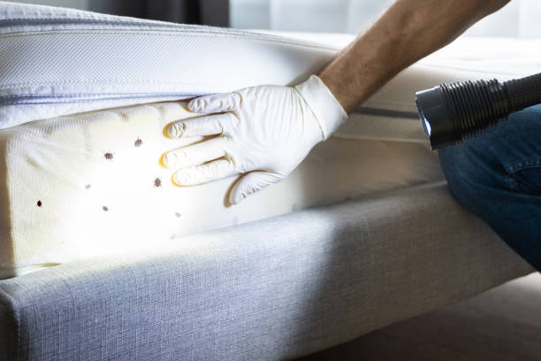 Best Commercial Pest Control Services  in Calvert City, KY