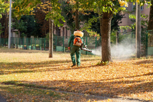 Best Pest Removal Services  in Calvert City, KY