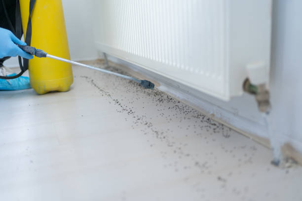 Best Local Pest Control Services  in Calvert City, KY